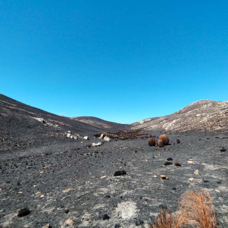 Trail closure notice: Fire damage in the&nbsp;reserve