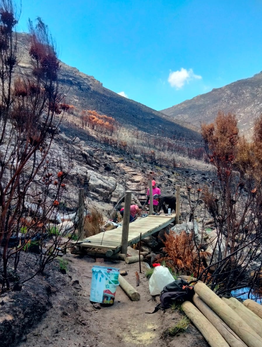 Workers reconstructing a bridge on the Uitkyk Trail.